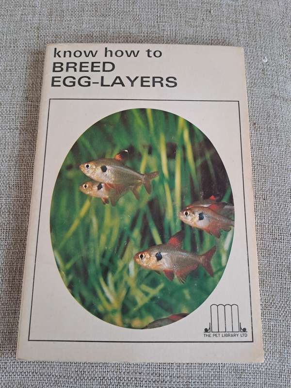 Know How to Breed Egg-Layers - Rosario La Corte