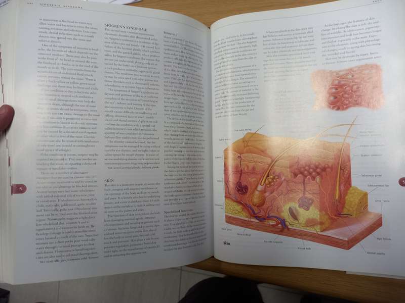 Anatomica: The Complete Home Medical Reference