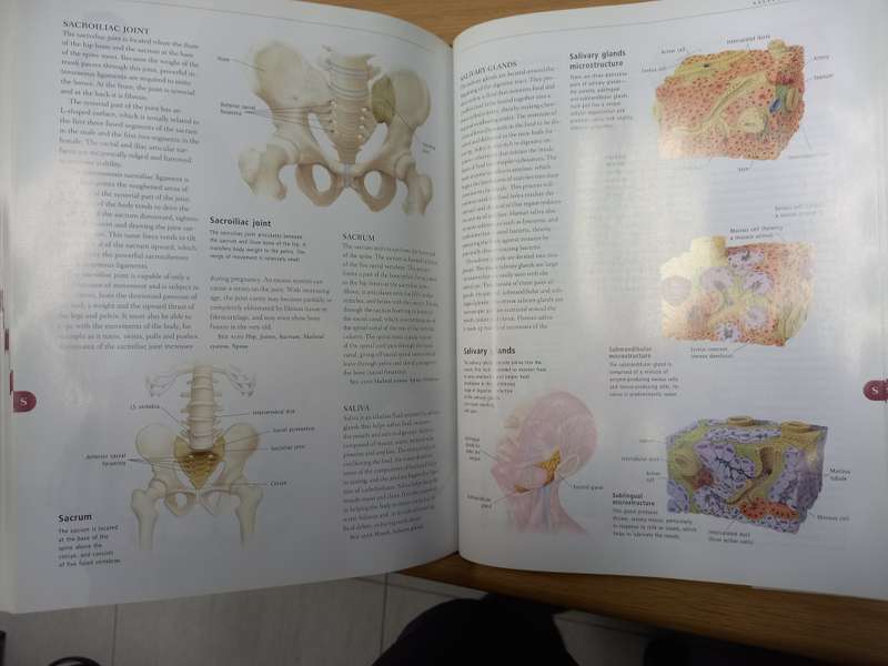 Anatomica: The Complete Home Medical Reference