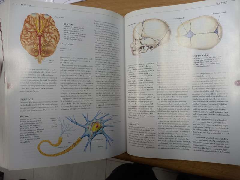 Anatomica: The Complete Home Medical Reference