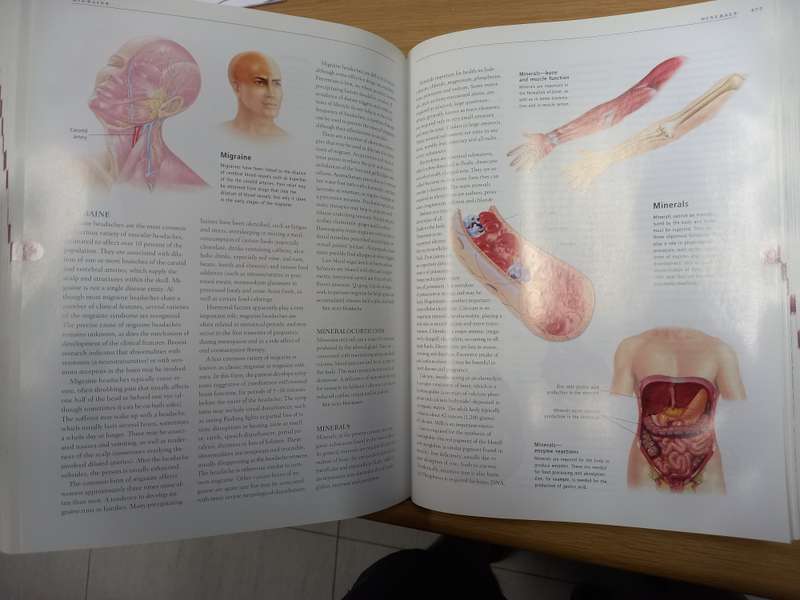 Anatomica: The Complete Home Medical Reference
