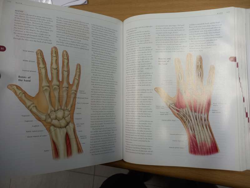 Anatomica: The Complete Home Medical Reference