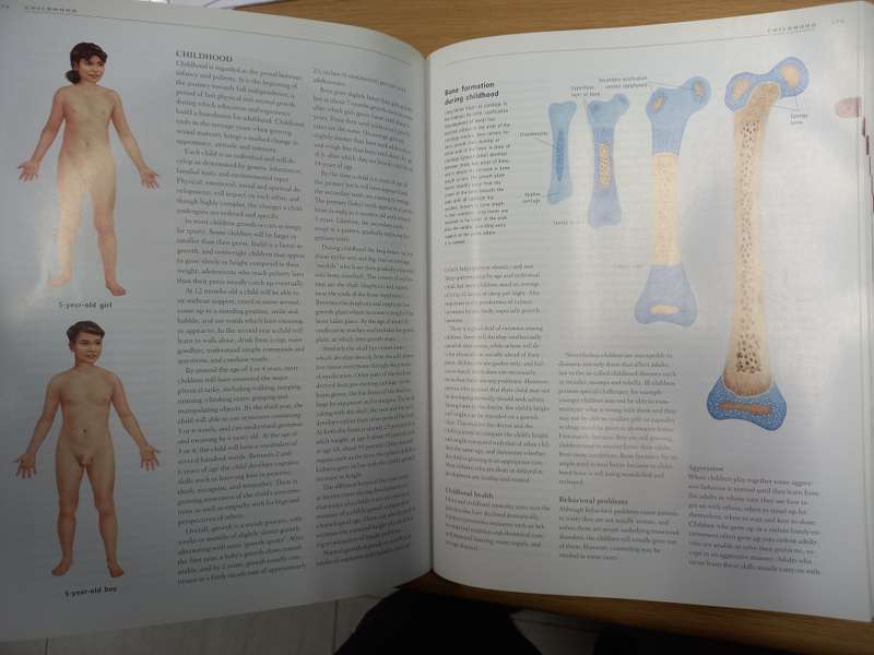 Anatomica: The Complete Home Medical Reference