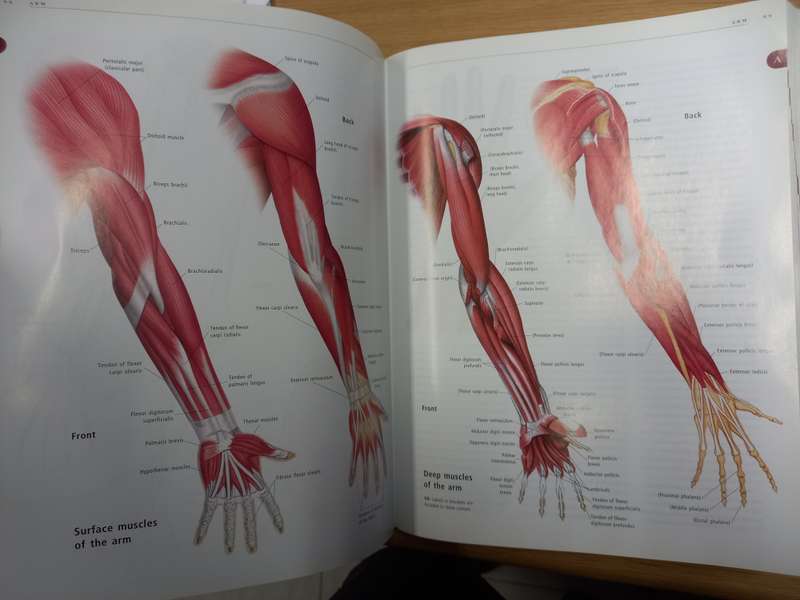 Anatomica: The Complete Home Medical Reference