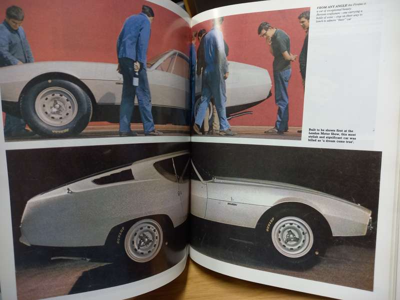 Jaguar E-Type - the definitive history - Philip Porter
