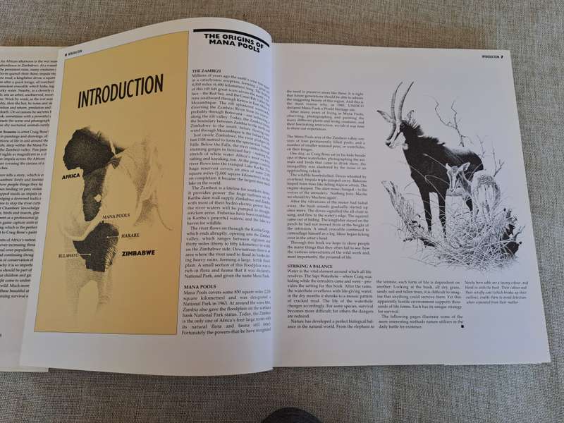 African Seasons: Wildlife at the Waterhole - Craig Bone
