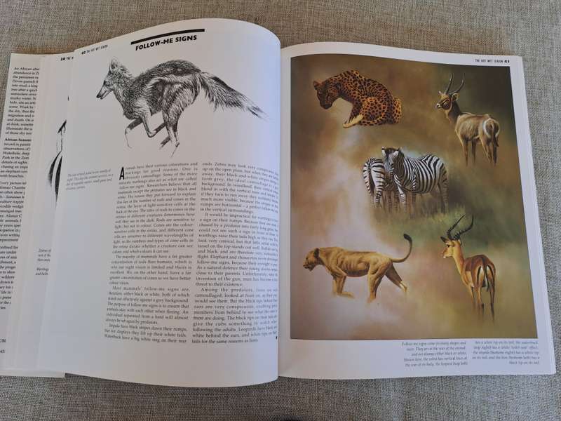 African Seasons: Wildlife at the Waterhole - Craig Bone