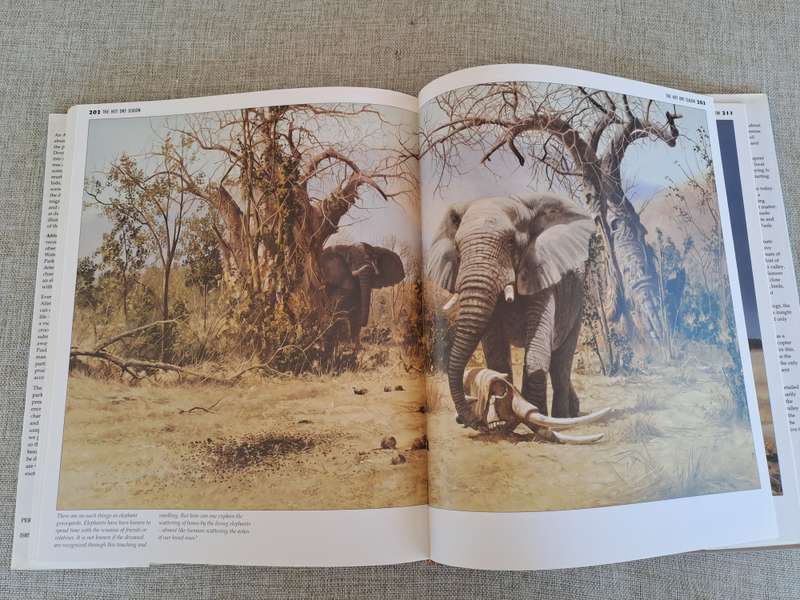 African Seasons: Wildlife at the Waterhole - Craig Bone