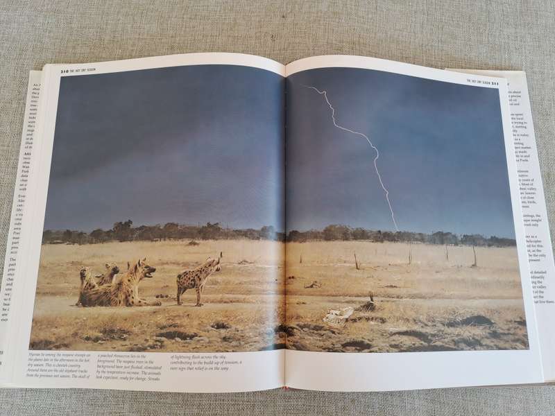 African Seasons: Wildlife at the Waterhole - Craig Bone