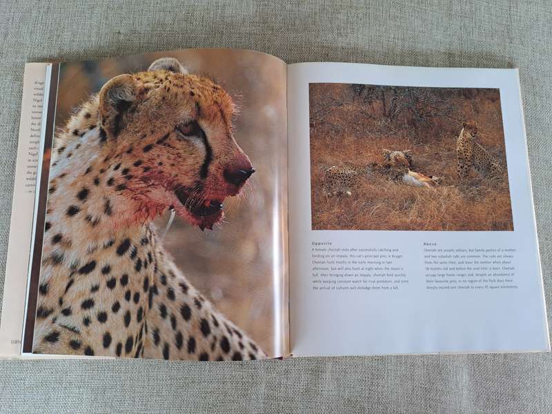 Kruger: Images of a Great African Park