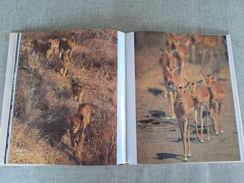 Kruger: Images of a Great African Park