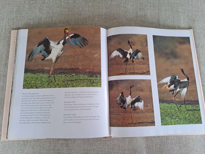 Kruger: Images of a Great African Park