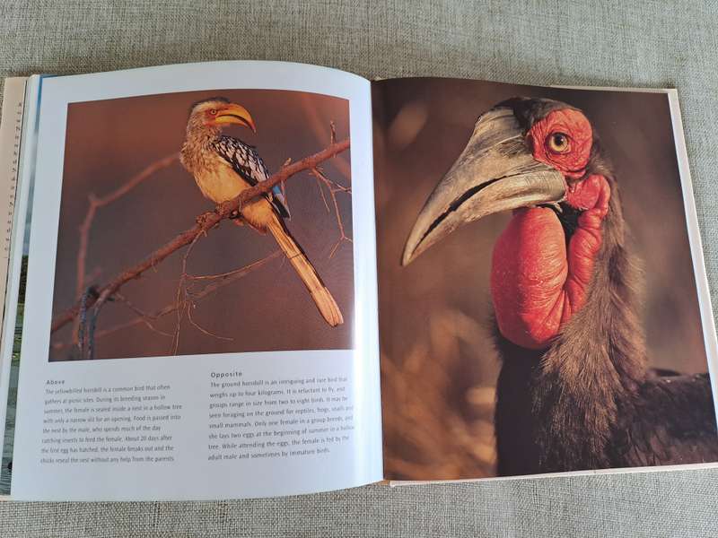 Kruger: Images of a Great African Park