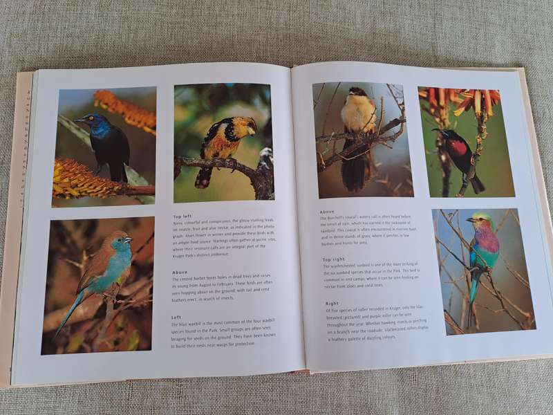 Kruger: Images of a Great African Park