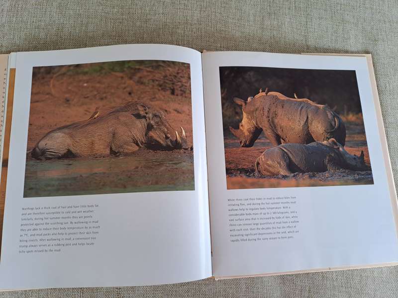 Kruger: Images of a Great African Park