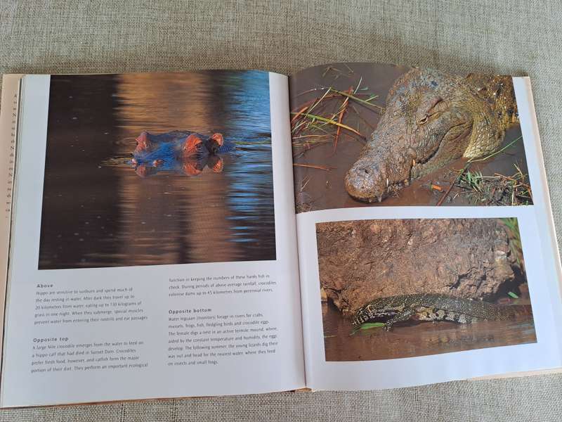 Kruger: Images of a Great African Park