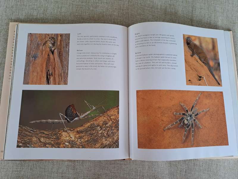 Kruger: Images of a Great African Park