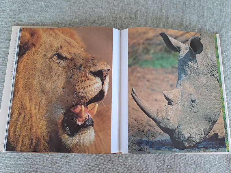Kruger: Images of a Great African Park