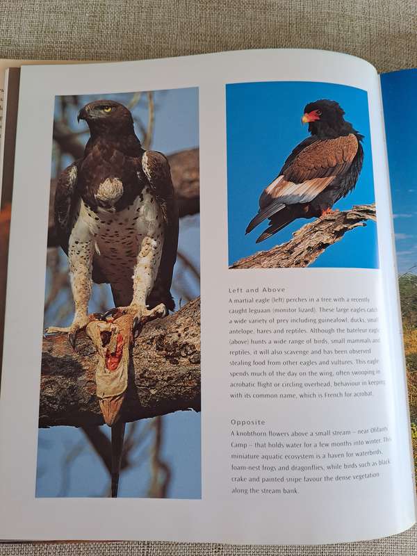 Kruger: Images of a Great African Park