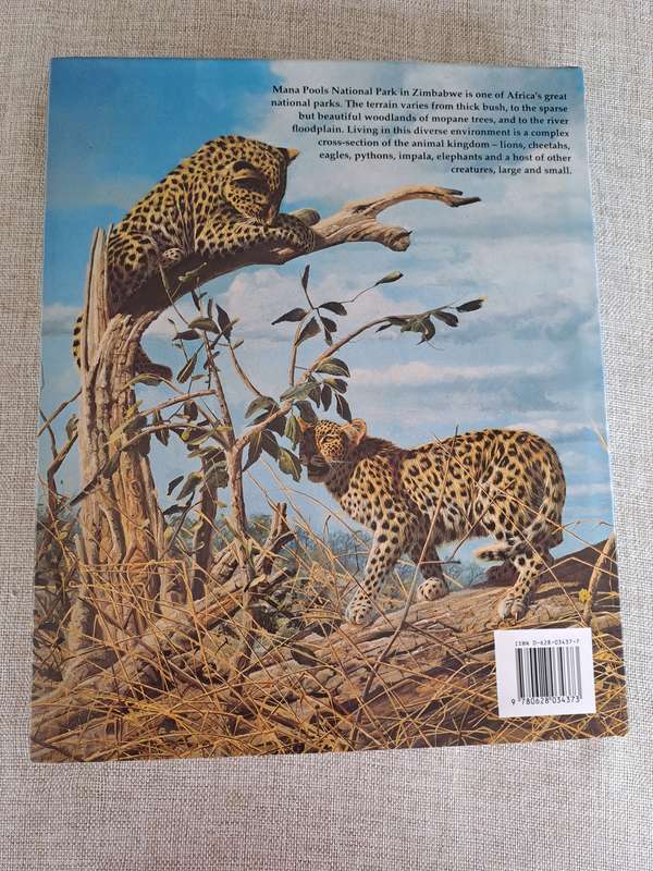 African Seasons: Wildlife at the Waterhole