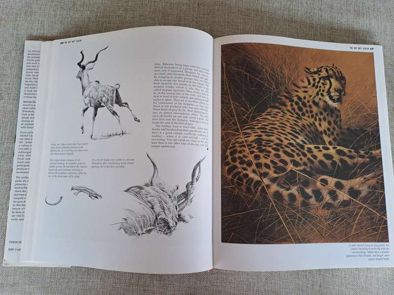 African Seasons: Wildlife at the Waterhole