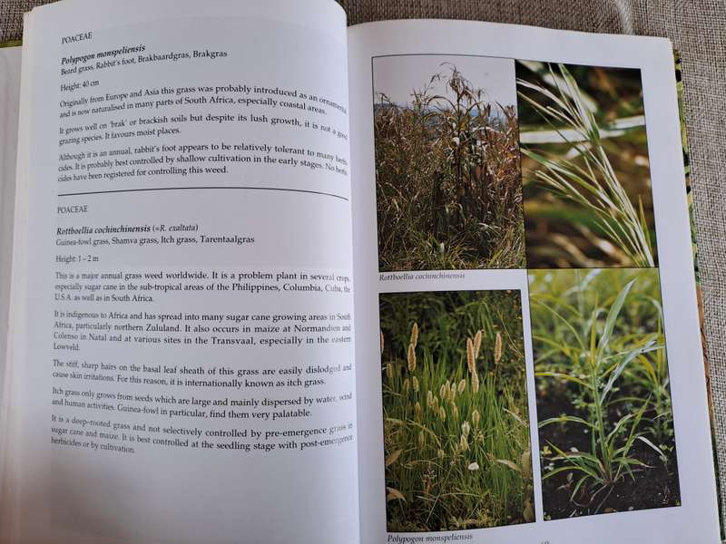 Problem Plants of South Africa - Clive Bromilow