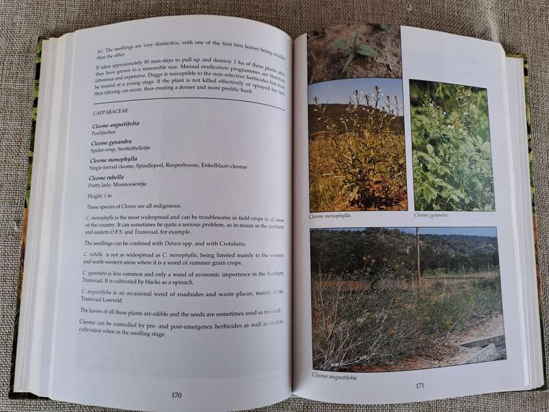 Problem Plants of South Africa - Clive Bromilow
