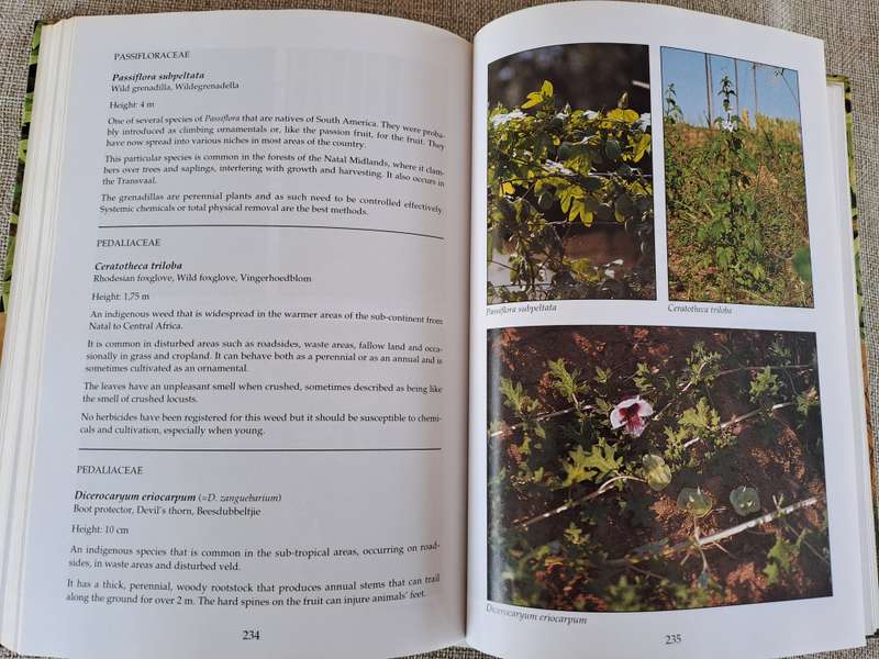 Problem Plants of South Africa - Clive Bromilow