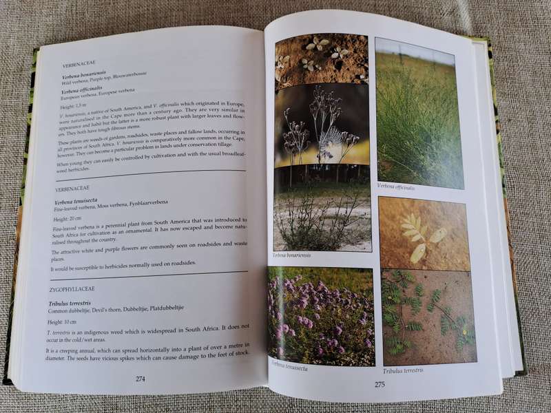 Problem Plants of South Africa - Clive Bromilow