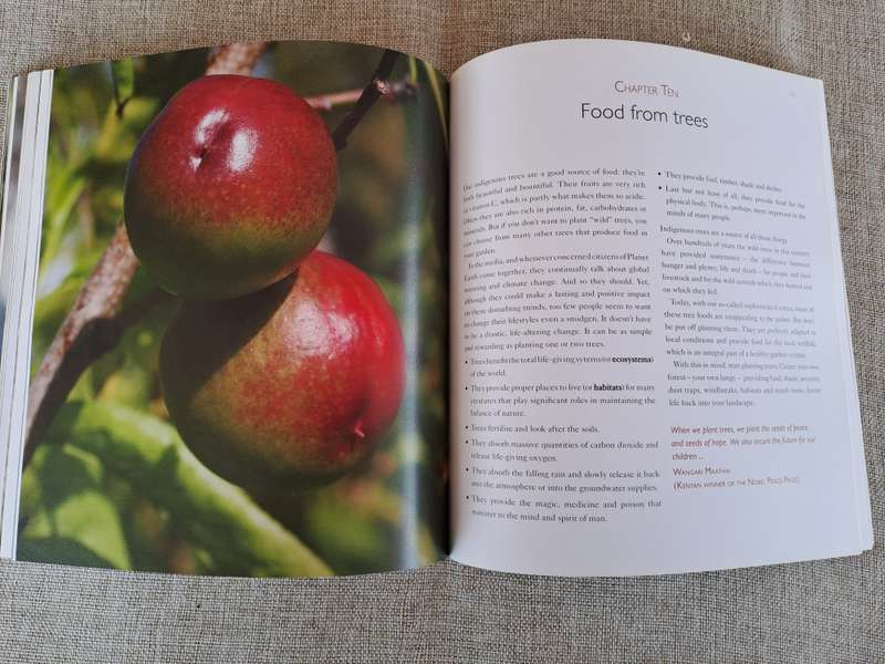 Grow to Live: A simple guide to growing your own good, clean food - Pat Featherstone