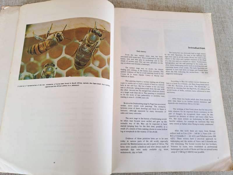 Beekeeping in South Africa  Bulletin No. 394