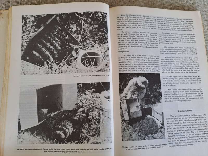 Beekeeping in South Africa  Bulletin No. 394