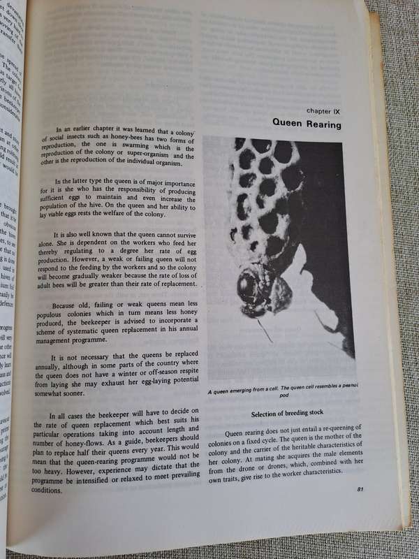Beekeeping in South Africa  Bulletin No. 394