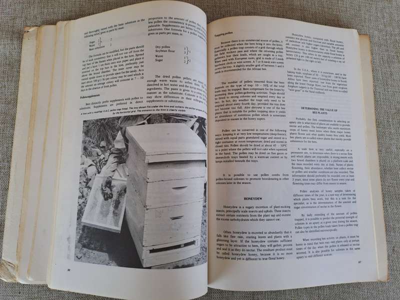 Beekeeping in South Africa  Bulletin No. 394