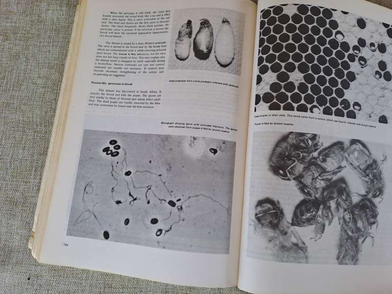 Beekeeping in South Africa  Bulletin No. 394