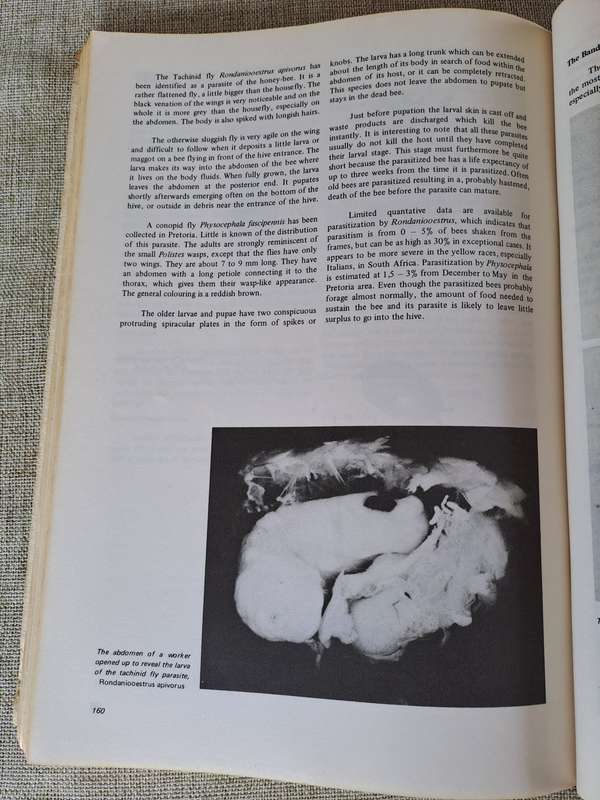 Beekeeping in South Africa  Bulletin No. 394