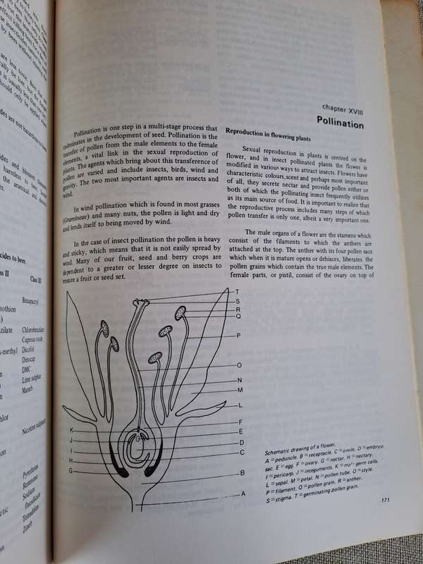 Beekeeping in South Africa  Bulletin No. 394