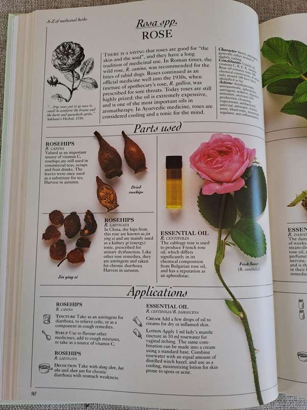 The Herb Societys Complete Medicinal Herbal - Penelope Ody