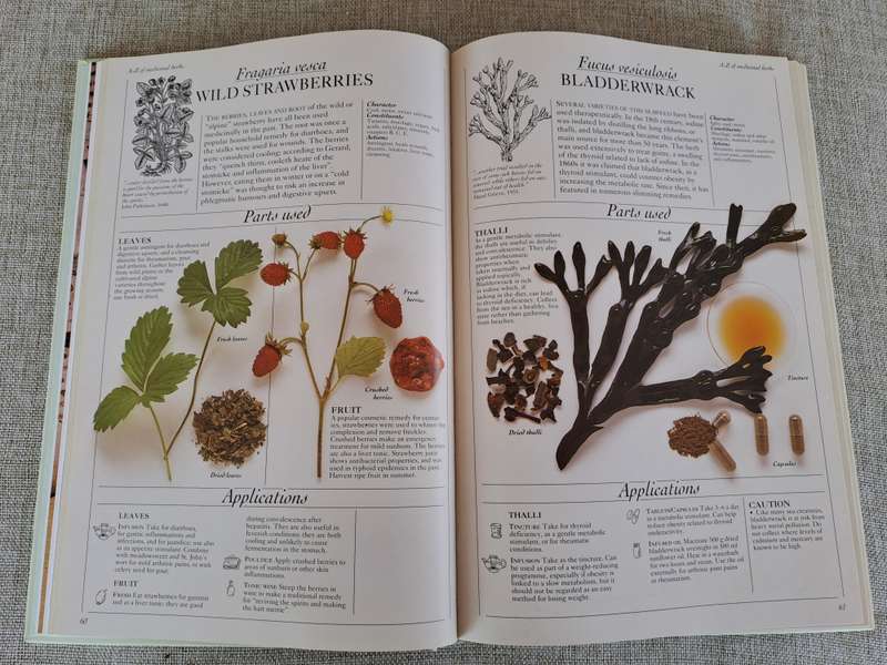 The Herb Societys Complete Medicinal Herbal - Penelope Ody