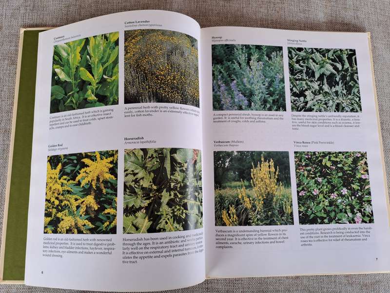A-Z of Herbs - Margaret Roberts