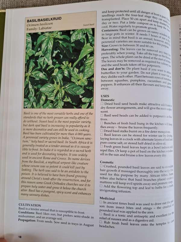 A-Z of Herbs - Margaret Roberts