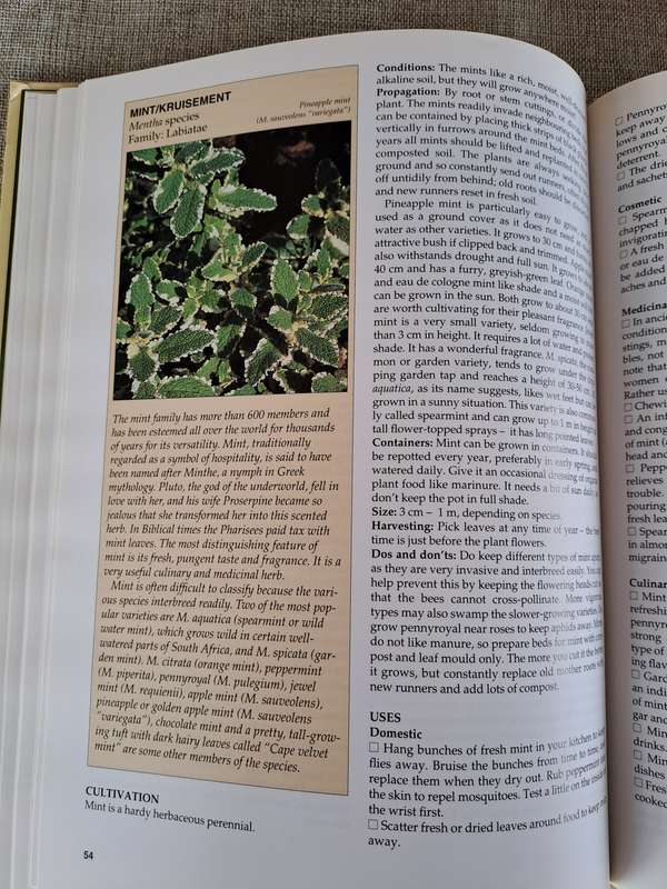 A-Z of Herbs - Margaret Roberts