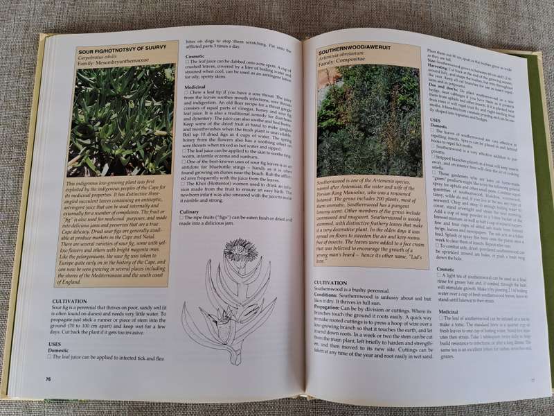A-Z of Herbs - Margaret Roberts