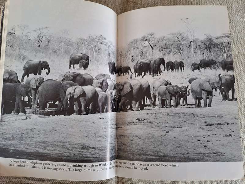 Wankie: The story of a Great Game Reserve - Ted Davison