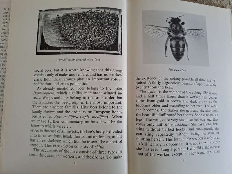 Beekeeping in Southern Africa - A.F. May