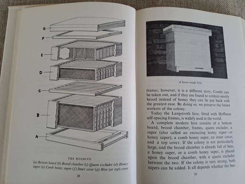 Beekeeping in Southern Africa - A.F. May