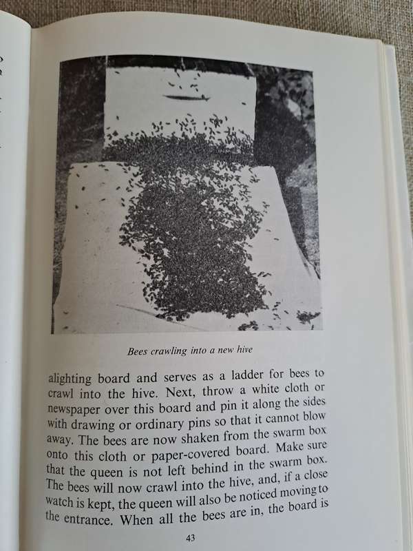 Beekeeping in Southern Africa - A.F. May