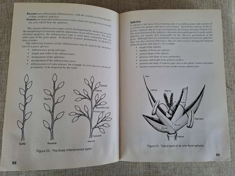 Guide to Grasses of South Africa - Frits van Oudtshoorn
