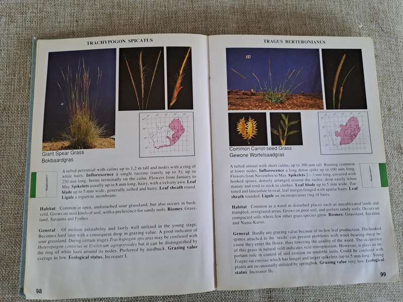 Guide to Grasses of South Africa - Frits van Oudtshoorn