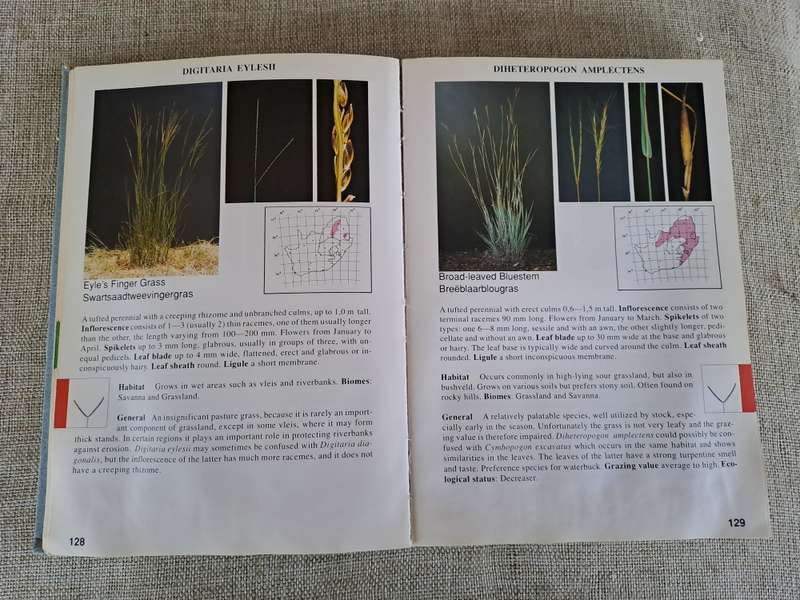Guide to Grasses of South Africa - Frits van Oudtshoorn